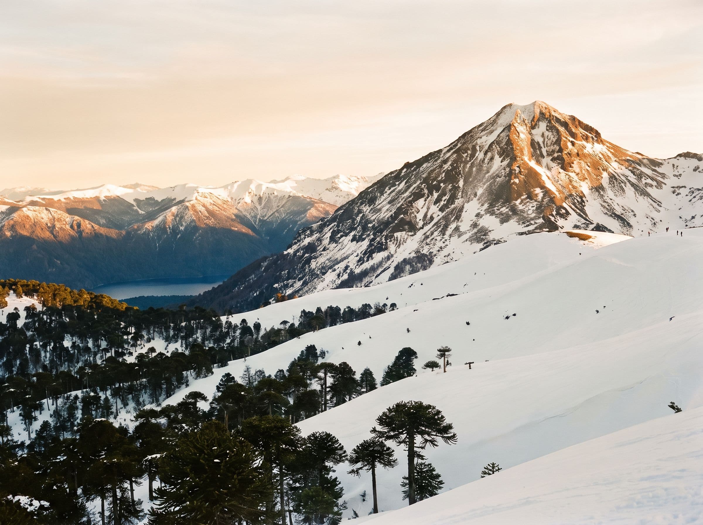Patagonia
