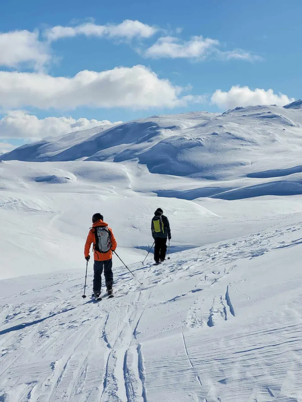 Freeride Pro Camp Norwegia