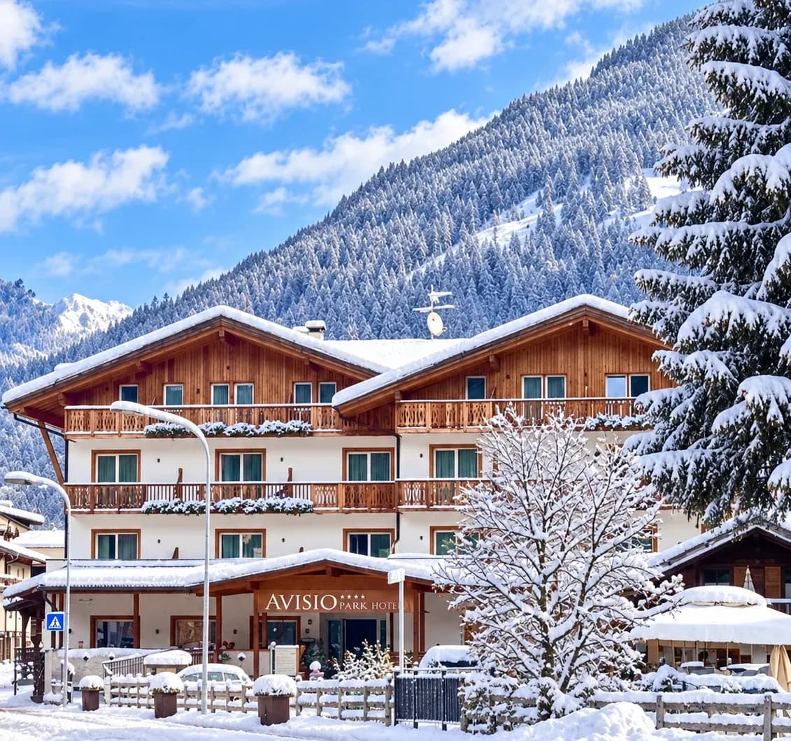 Park Hotel Avisio****