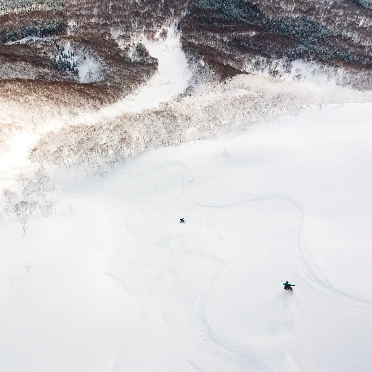 Japonia, Hokkaido Freeride Tour
