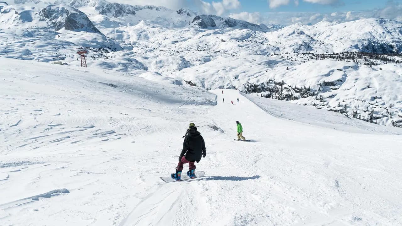 Winter Paradise